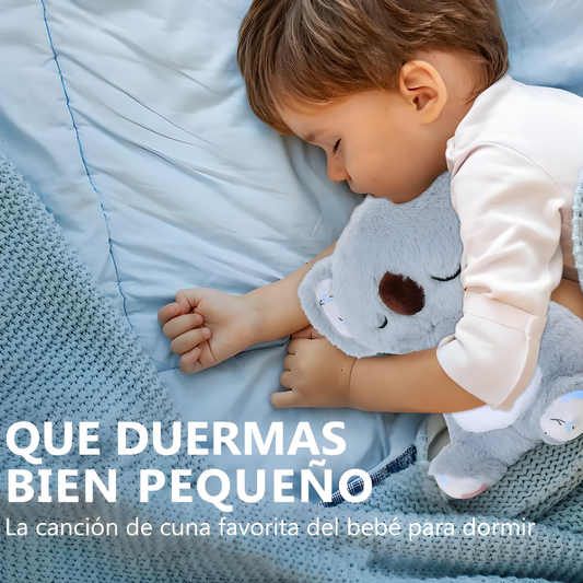 Peluche koala Antiestrés 🐨